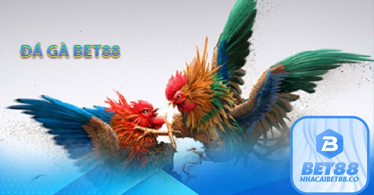 Đá gà Bet88