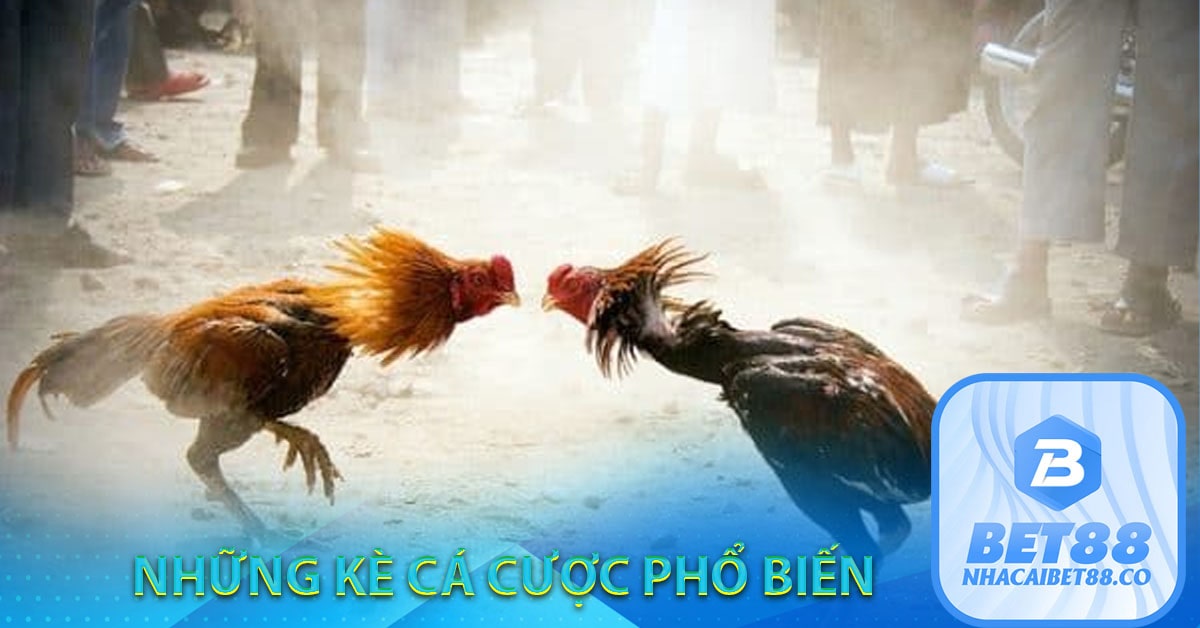 Kèo cược gà phổ biến Bet88