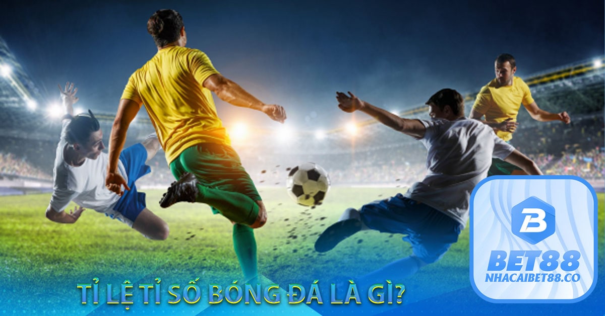 Tỉ lệ tỉ số là gì?