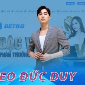 CEO Đức Duy